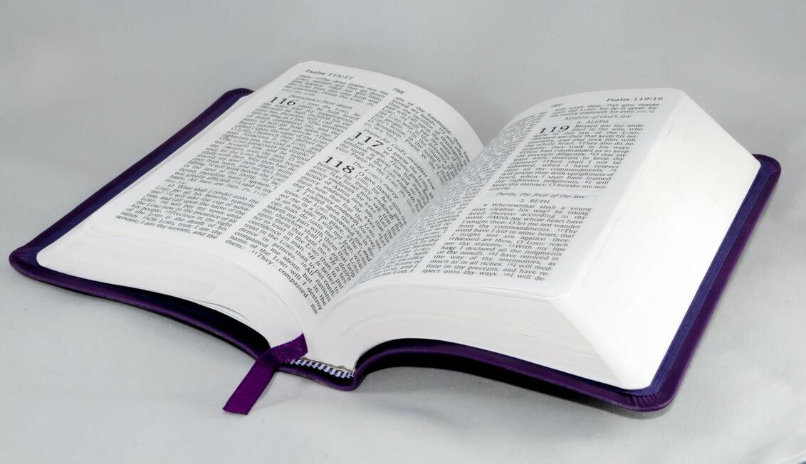 Bible Bible